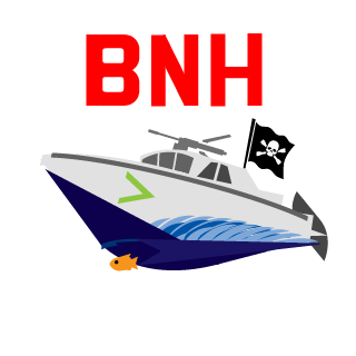 BNH-THEUNKNOWNIT's emblem