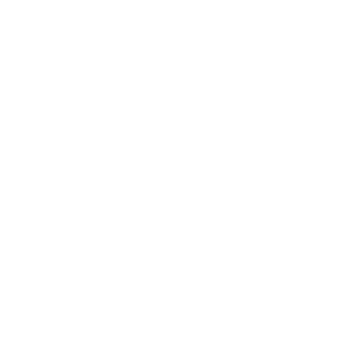 JoeyZee's emblem