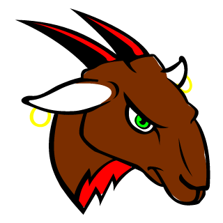 WishFlakes's emblem