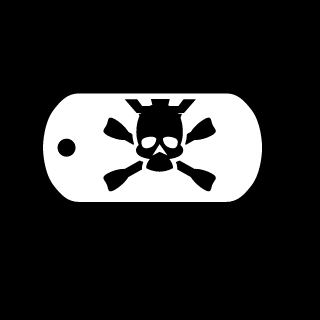 91Insanity92's emblem
