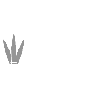 Spacetourer-BL's emblem