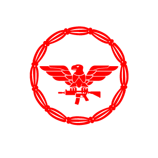 M4niac141's emblem