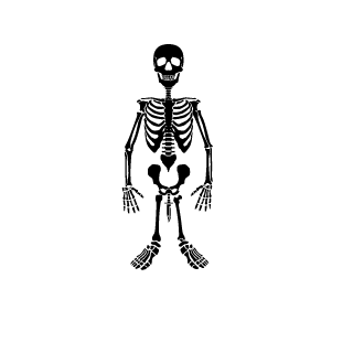 KilluaSp's emblem