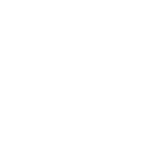 nBd17's emblem