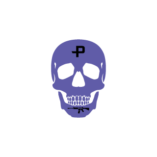 Guardarian1337's emblem