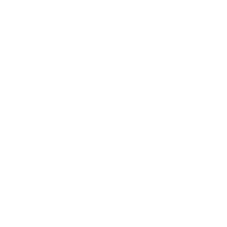 snoopy4561's emblem