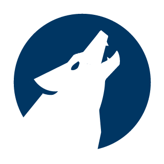 Skywalker_DSP's emblem