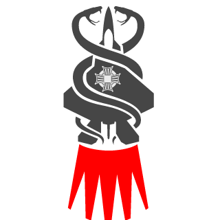 ZacLime29's emblem