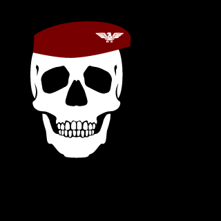 Death Reapers Troup's emblem
