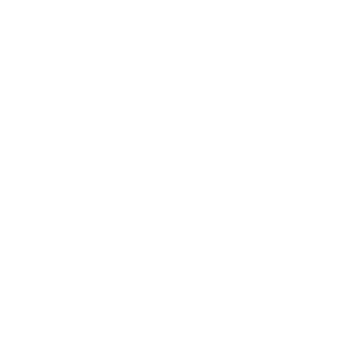 ss_wandal's emblem
