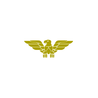 netoxdd's emblem