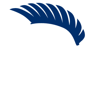 JopezoFIN's emblem
