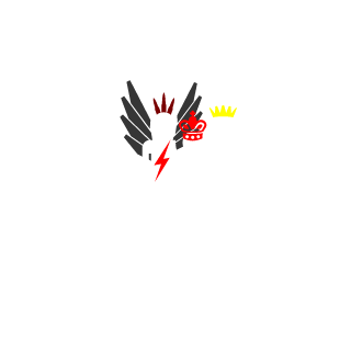 Warriors of the Night's emblem