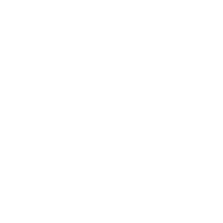 Ganfi12's emblem