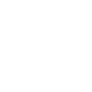 13352660's emblem