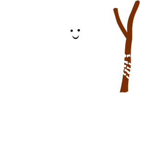CoolBirdos's emblem