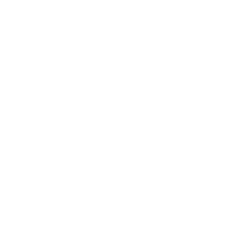 Floki1281's emblem