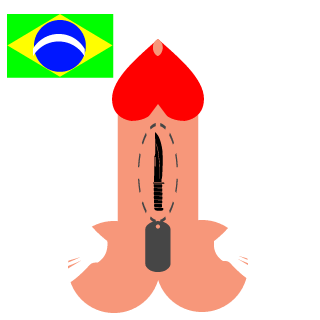 paulohk's emblem