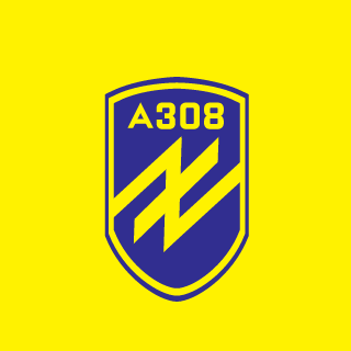 N1DRHLTR's emblem