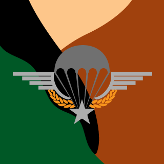R1ffWantsToDie's emblem