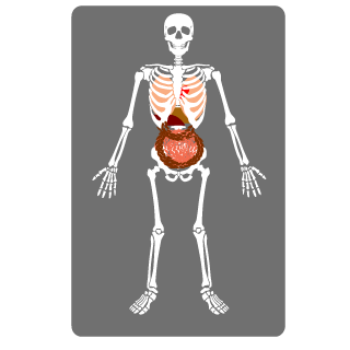 zaeff's emblem