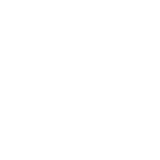 TheIronNorman's emblem