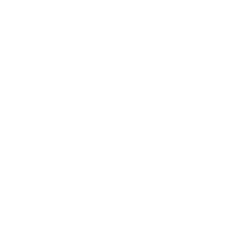 pippen55's emblem