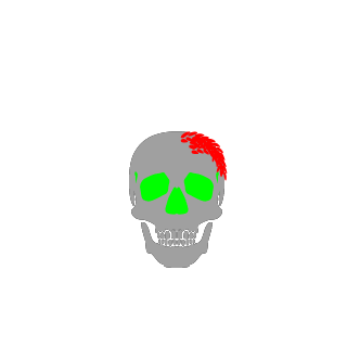 tophero7091's emblem
