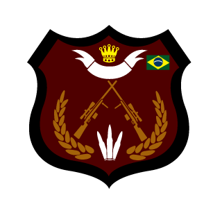 FykzBR's emblem