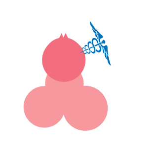 VJLinkRendozor's emblem