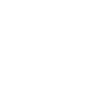 RARITY_P0NY's emblem