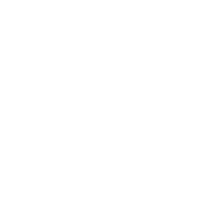 n1chiluss's emblem