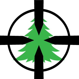 DriveFST's emblem