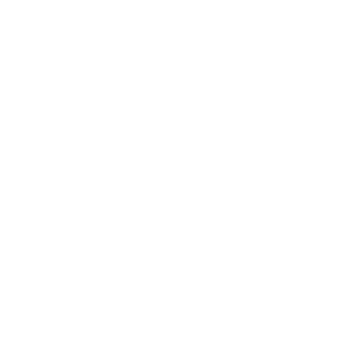 vbjoker's emblem