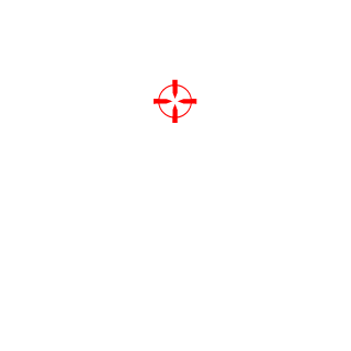 Pun1sher2050's emblem