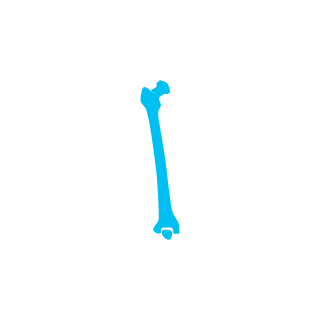 cRockxd's emblem