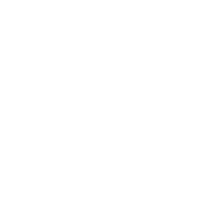 cyberdelio's emblem