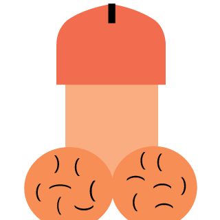 mejang's emblem