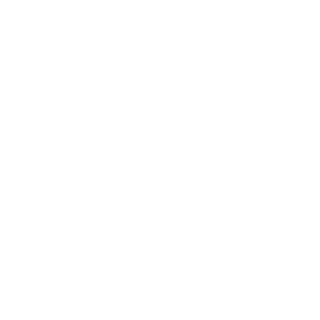 9ccd88efd8f95a39's emblem
