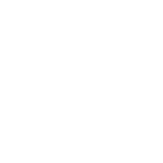 HyundaiPL's emblem