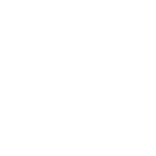 eS-SteelRR's emblem