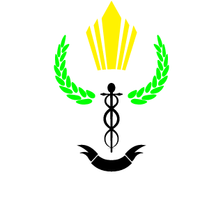 TheMetsFan99's emblem
