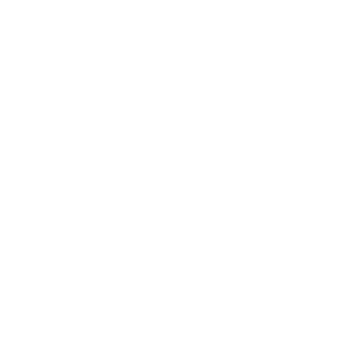 RaGER55's emblem