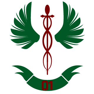 MSMoraes's emblem