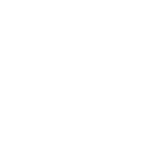 Ananoob_Zn's emblem
