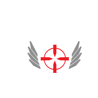 Valtava_Pettymys's emblem