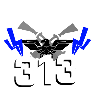 Boa313's emblem