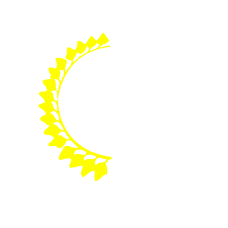 XepZero's emblem