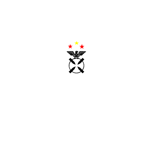 Paulohp300's emblem