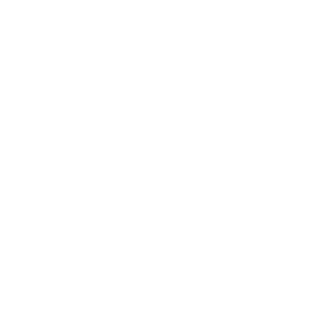 Fakevox24's emblem